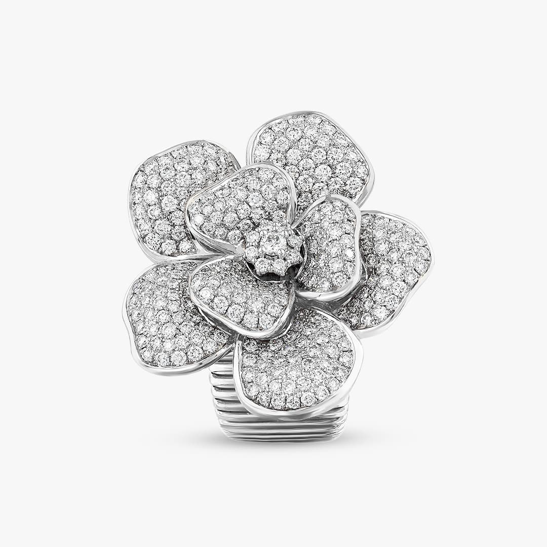 La Rosina Bianca - Ring